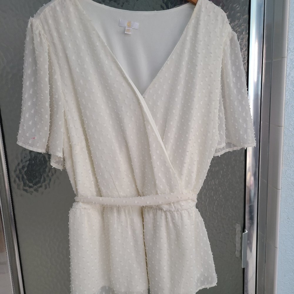 Charming Charlie Ivory Chiffon Swiss Dot Blouse 3x